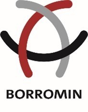 Bond adviseert Borromin bij de financiering van de overname van Hollanddak